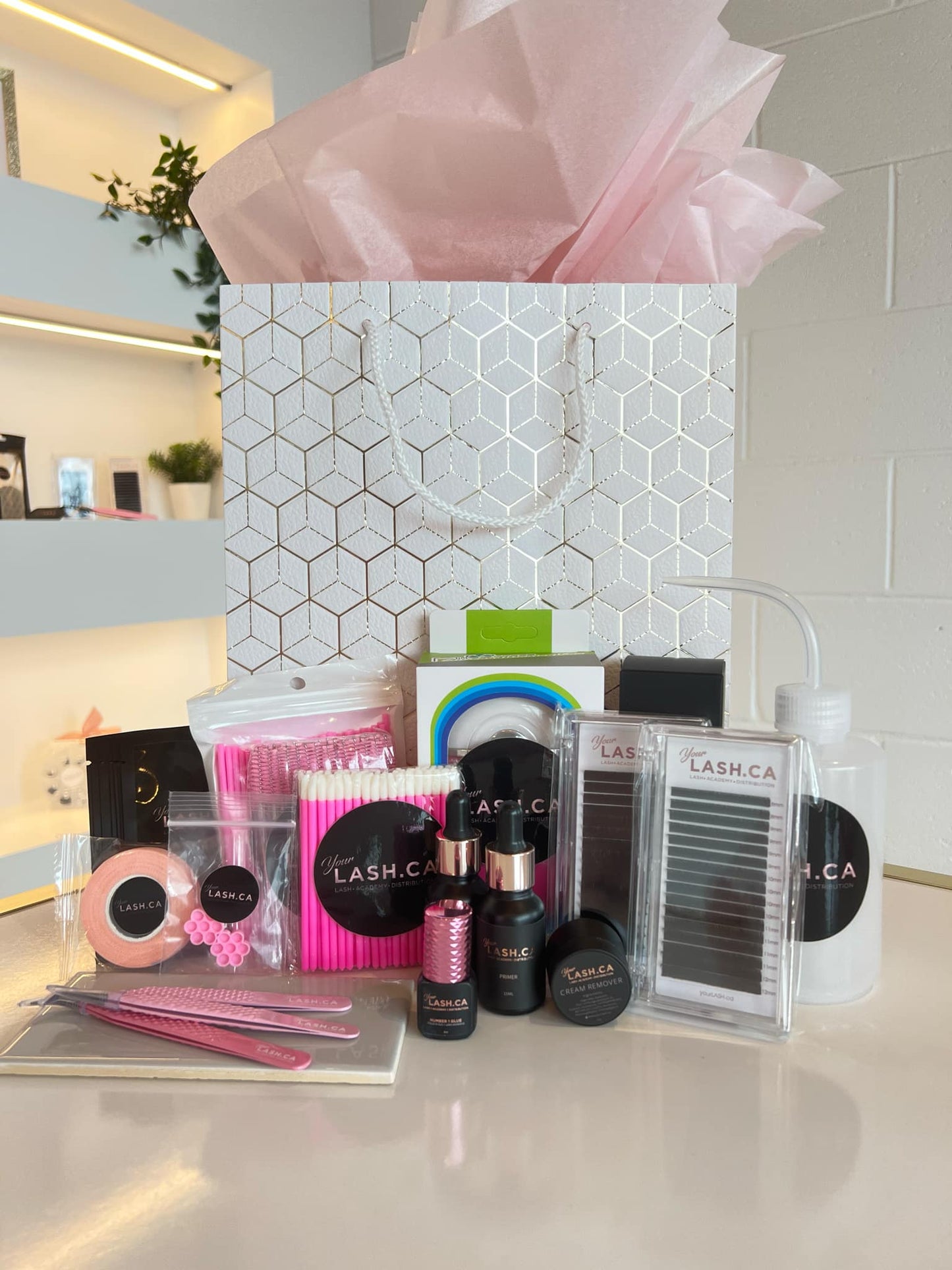 TRAINING FOR EYELASH TECHNICIAN 5 TREATMENTS