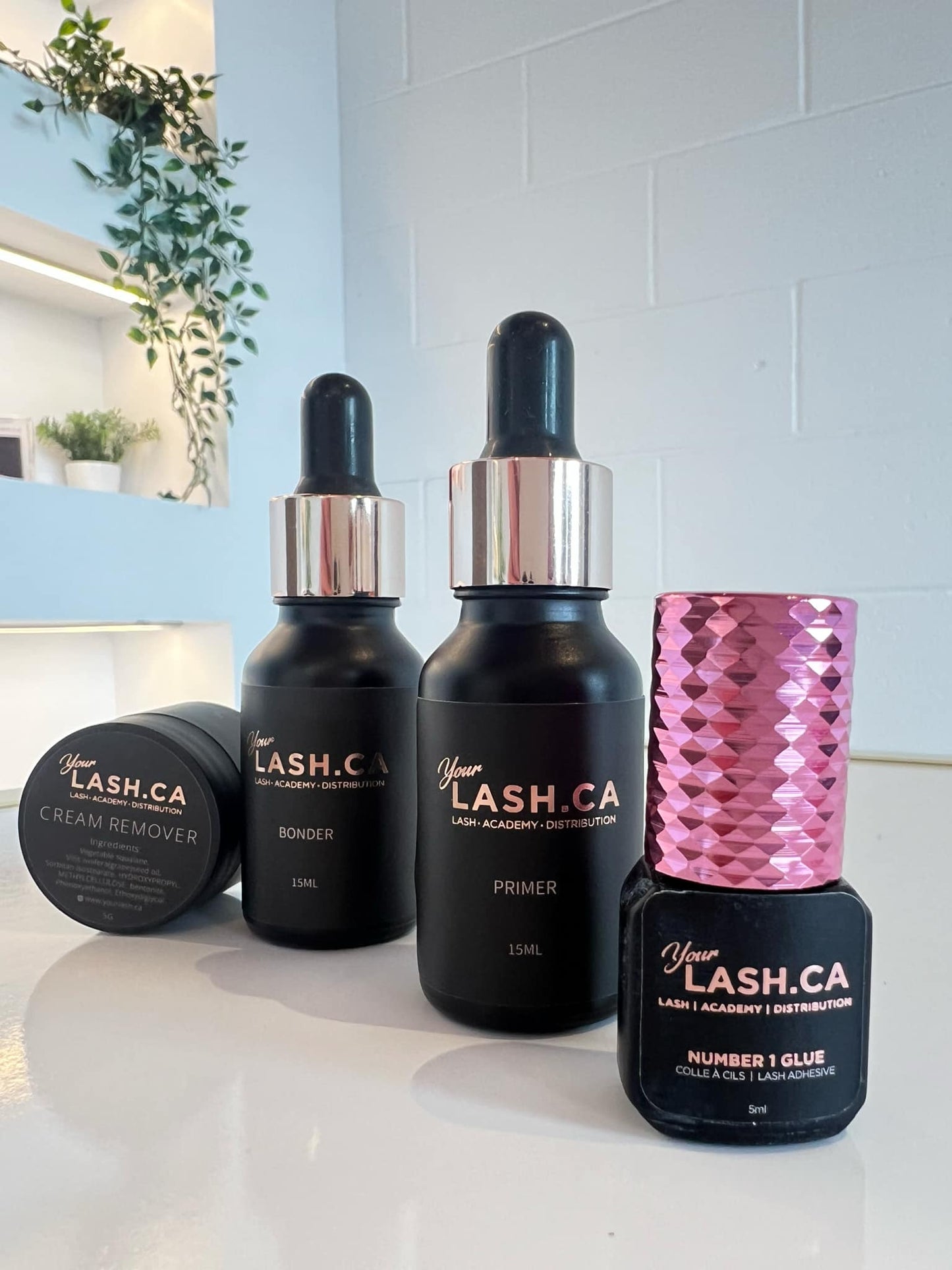 STARTER KIT FOR TRAINER OR STUDENT CLASSIC AND VOLUME