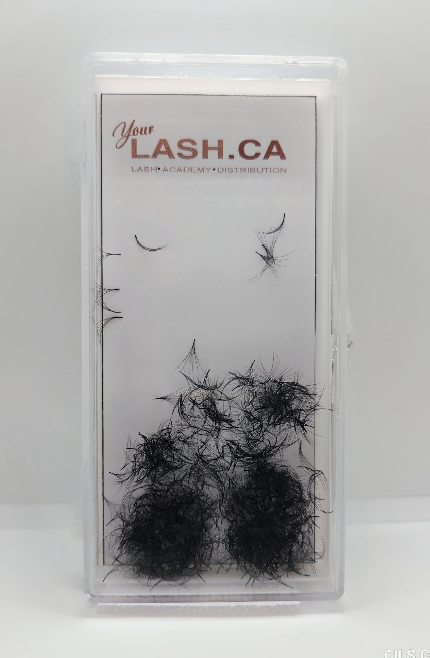 6D PRE-MADE EYELASHES (PROMADE FAN) 6D