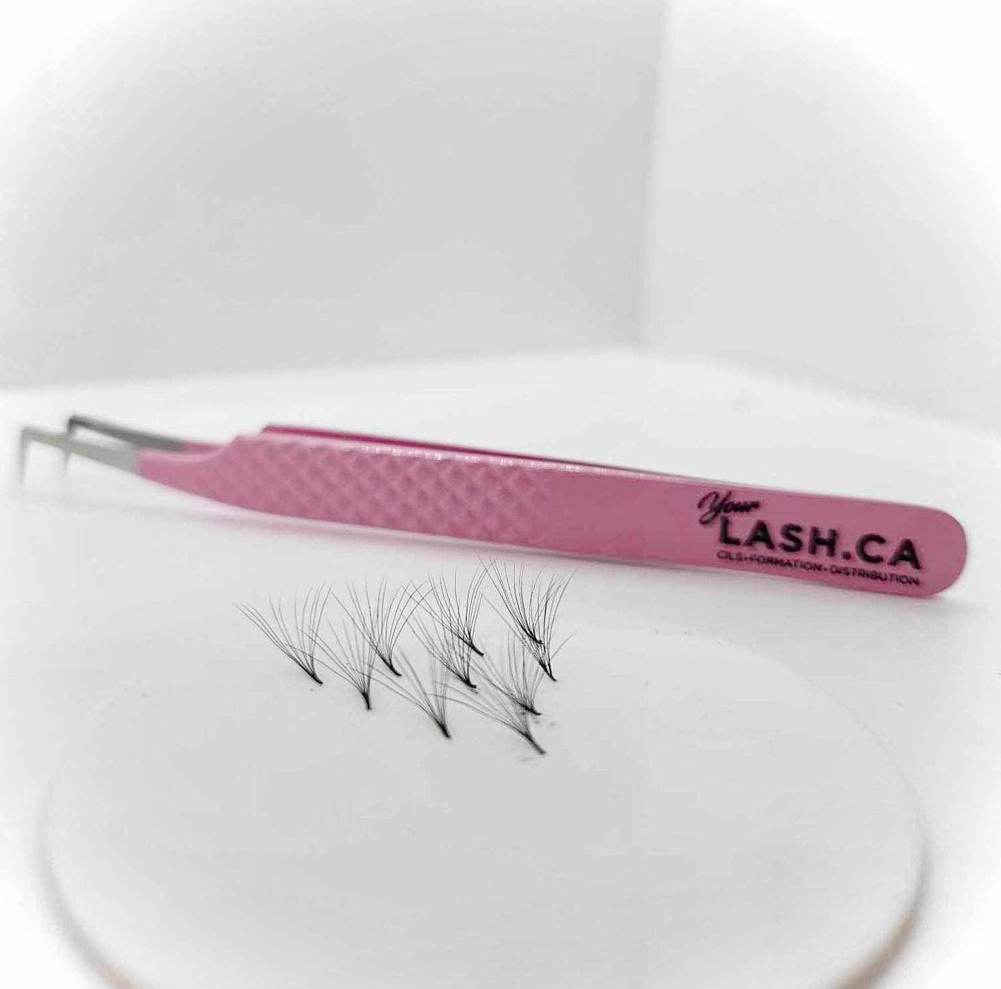 6D PRE-MADE EYELASHES (PROMADE FAN) 6D