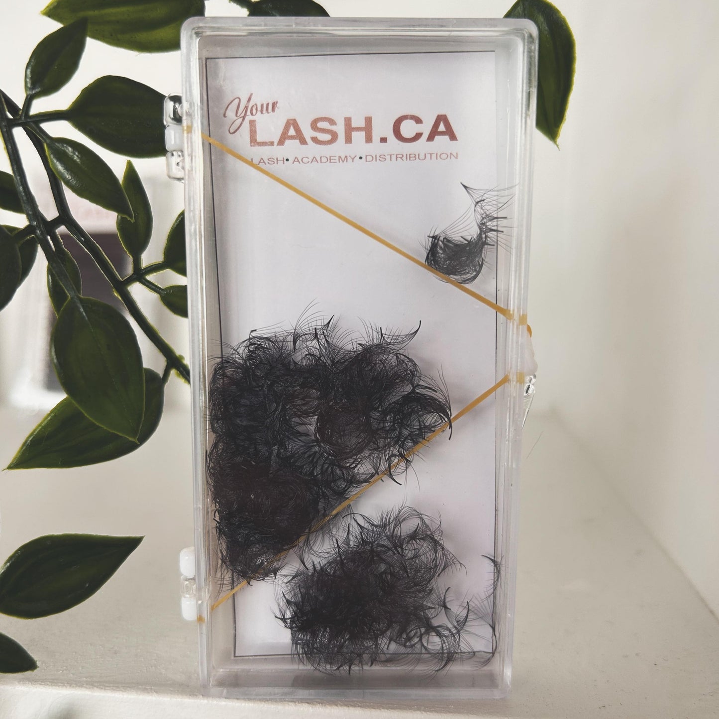 6D PRE-MADE EYELASHES (PROMADE FAN) 6D