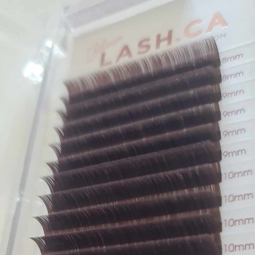 YY BROWN EYELASH EXTENSION