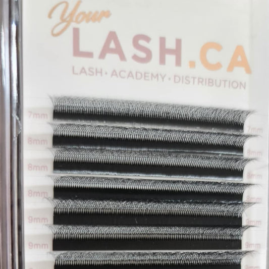 WW 5D Lashes – Classic Application, Volume Look