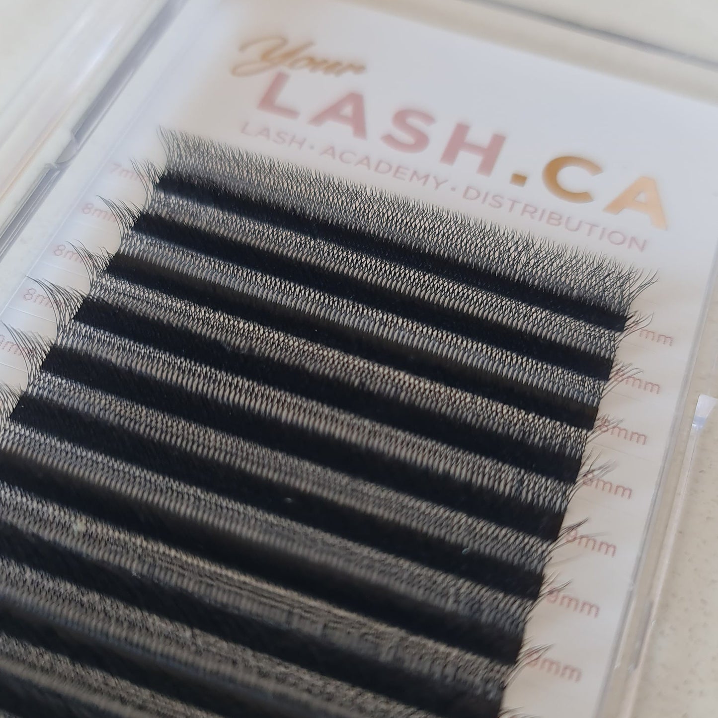 EXTENSIONS DE CILS 5D WW BLACK