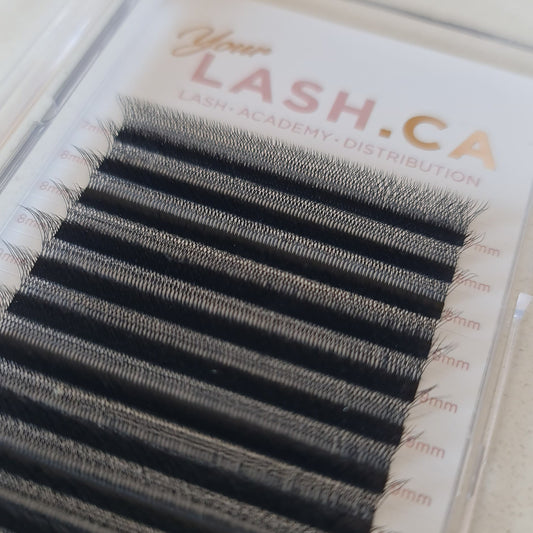 WW 5D Lashes – Classic Application, Volume Look